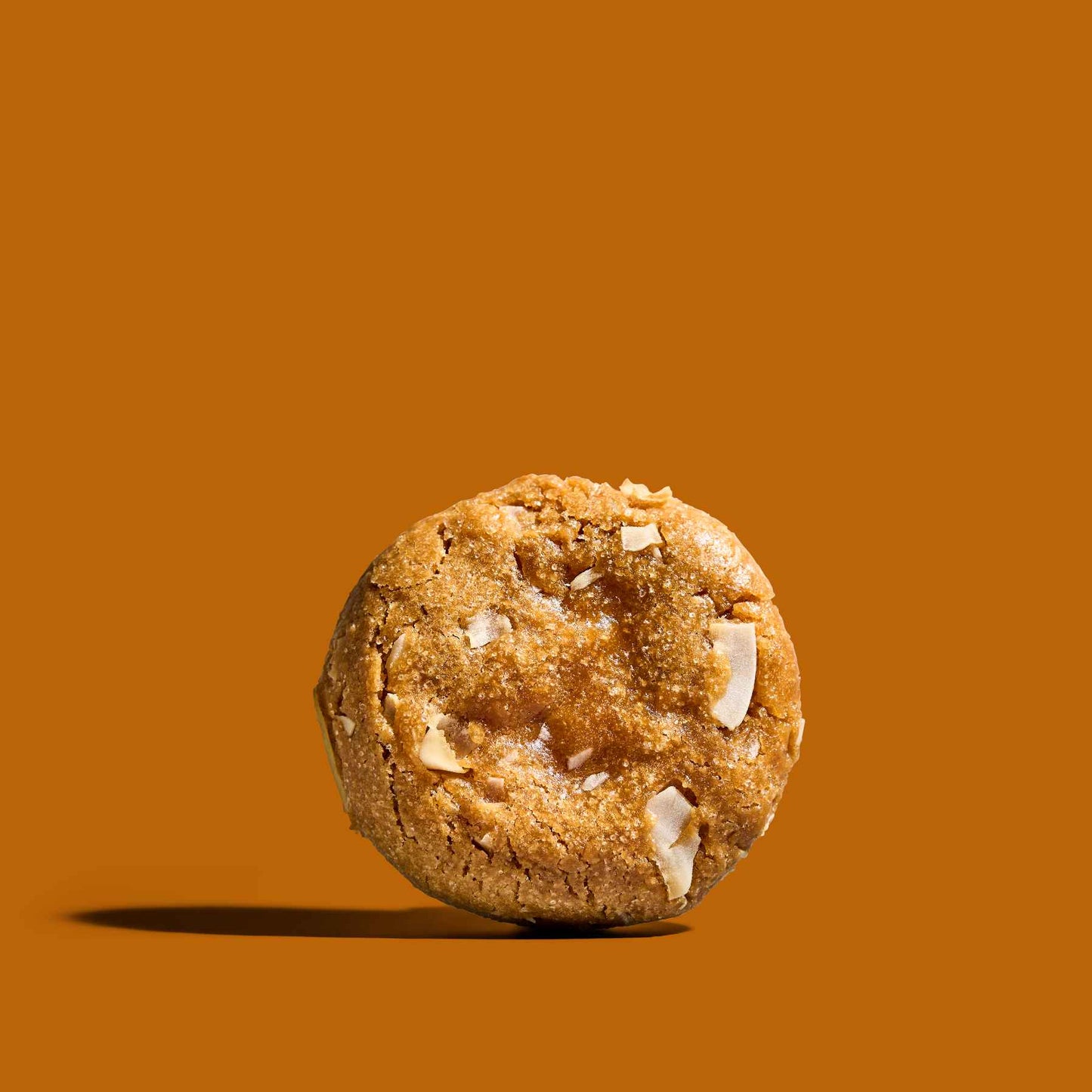 Mango Tropical Vibes Nala Bakery