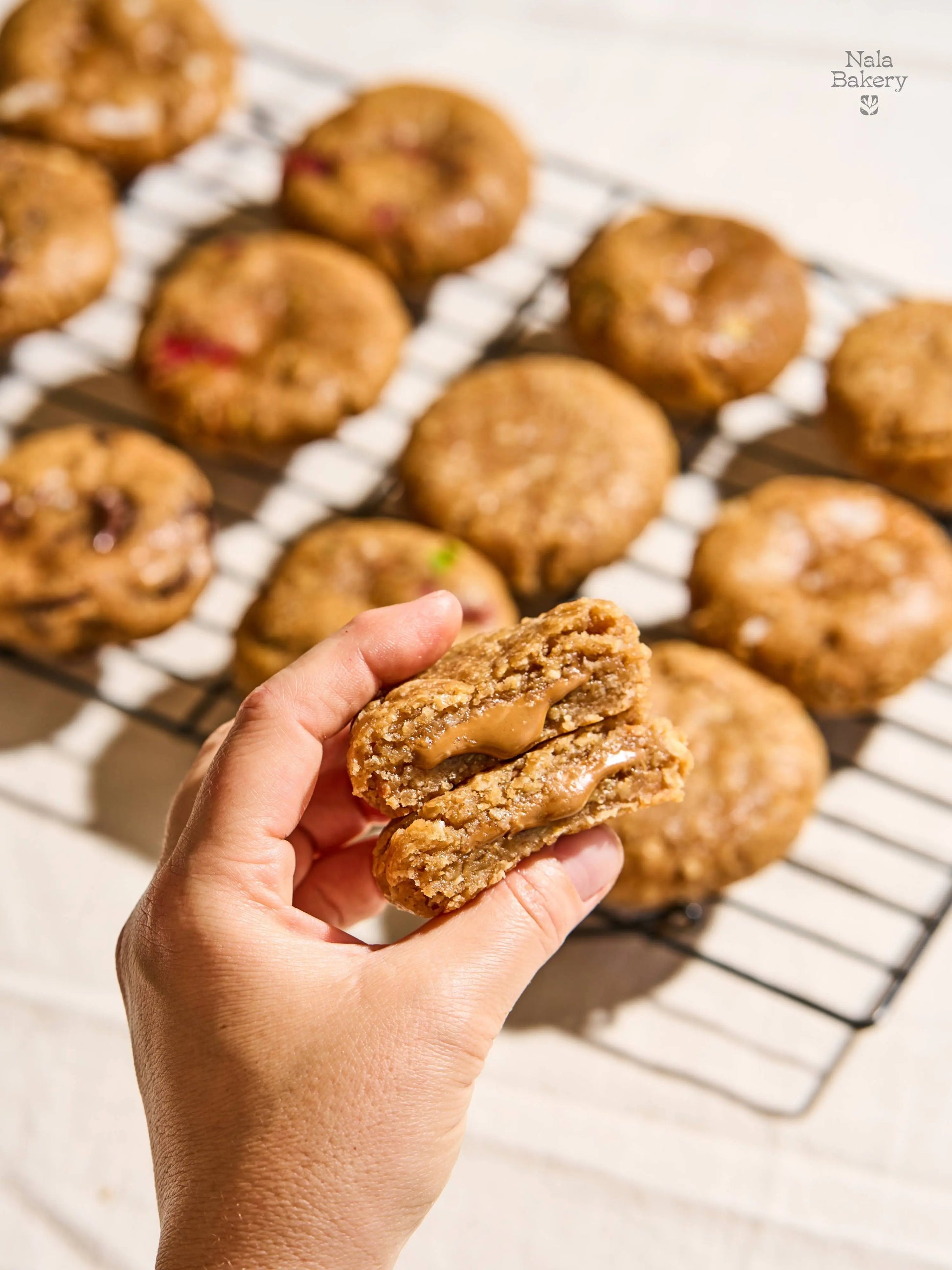 Monkey Chunky Oats Nala Bakery